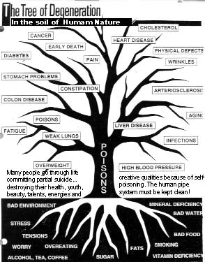 Tree of Degeneration